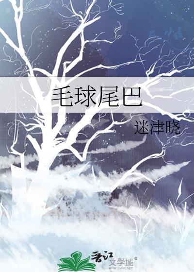 毛球尾巴免费阅读