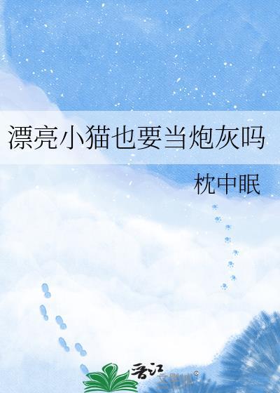 漂亮的小猫