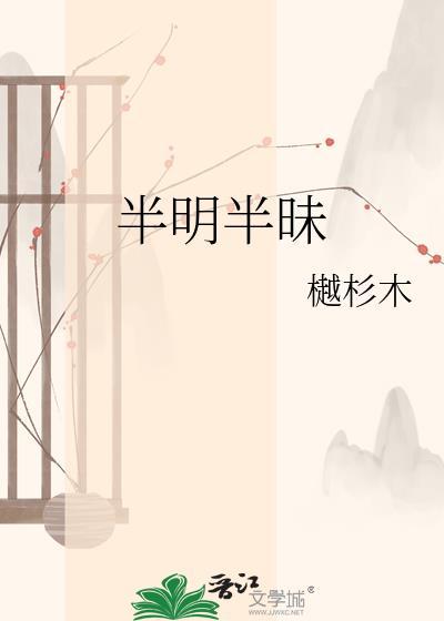 半明半昧类似四字词语