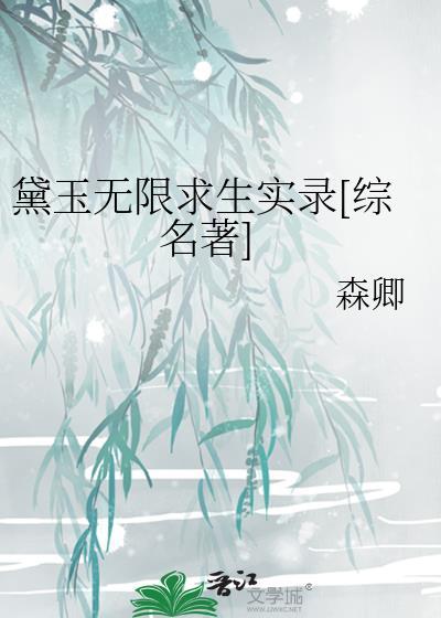 黛玉爽文