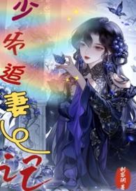 小少爷追妻记