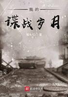 我的谍战岁月全本TXT